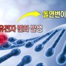 카페.B 이미지