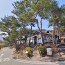 파파스브로트 이미지