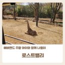 애버랜드 로스트밸리 스마트줄서기, 아이와 함께 관람후기, 오픈런