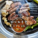 돼지체육관 이미지
