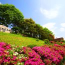 가평꽃동네 희망의 집 | 삶의 무늬가 있는 시(詩)