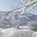 구도목장 이미지