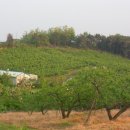 해경농장 이미지