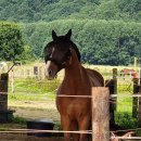 풍경목장 이미지