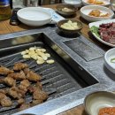 돌아온참참참