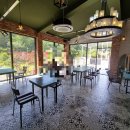 상사의숲 이미지