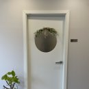 모터스힐 | [경기 용인] 용인두피관리 마북동 헤드스파 잘하는 에스테틱샵 헤세드힐