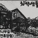 치악산둘레길 9코스 자작나무길 이미지