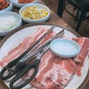 달마식당 티스토리