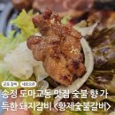 [경기 군포] 도마교동 맛집 숯불향가득 돼지갈비 I 황제숯불갈비