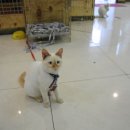 해안도로캠핑 이미지