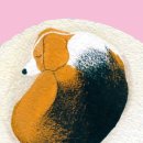 내 강아지 이미지