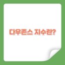 에스엔피(S&P)