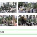 용비농장 이미지