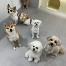 바우스쿨 네이버블로그