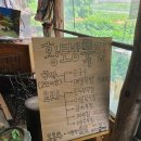 손국수가