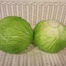 아노덴