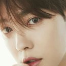 퍼스트비투비합자회사 | [YG] 트레저 정규 1집 초동 20만장의 의미 (부제: 빠순이들은 학습 효과가 없나)