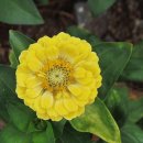 우이천 산책로 이미지