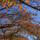 내장 신선교 이미지