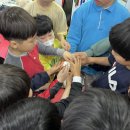 용인대 서울태권도 | 서울 마포구 용인대석사온새미로태권도 마술공연 진행 후기 :)