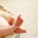 몽하우스 이미지