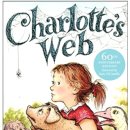 팝스잉글리쉬 이미지