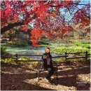 GS25 진주반성점 | 경상남도수목원 진주 반성수목원 경남 단풍 명소 11월 가을단풍축제