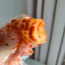 전라도김치쇼핑몰 옥과맛있는김치 배추김치 &amp; 갓김치