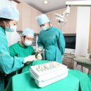 라임나무치과병원 이미지