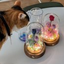 270-2018 | 부천 실내데이트 추천 <여기꽃이다> 이색체험 원데이클래스