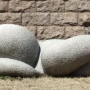 자연+인간+우연 이미지