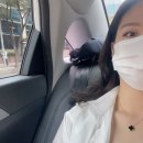 💙 개떡찰떡 경주 여행 - 경주월드, 황리단길 💙