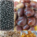 대성방앗간 이미지