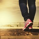 구미거북복싱 이미지