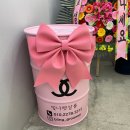 빛나펫살롱 이미지