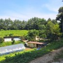 숲이랑농원 이미지