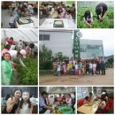 송광농장 이미지