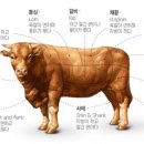 전국목장연합 이미지