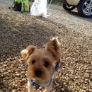 산청별천지캠핑장 이미지