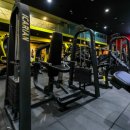 핏-타운 이미지