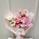 다예플레르 이미지