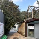 서귀포 안덕 카페 풀베개 내돈내산 후기 제주 감성 카페 추천