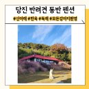 산아래펜션 | 당진 애견동반 펜션 산아래 1박 2일 여행 코스