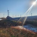 영광 태양광발전소 이미지