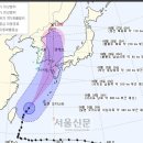 고니나라 서울신문