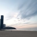 베니스안경 이미지
