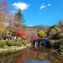 블루힐 단독 풀빌라 이미지