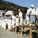 진도 만가 이미지