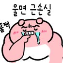 분당이화약국 이미지